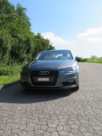 IMG_4733