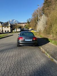 IMG_1950